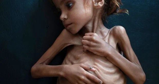amal hussein
